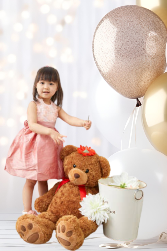 Push Toy Birthday Gift