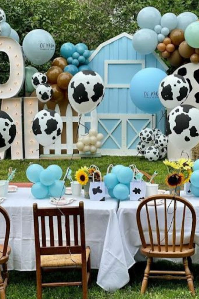 Balloon Wonderland Theme